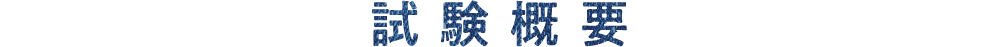 試験概要