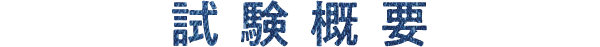 試験概要