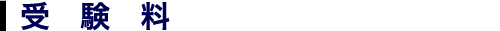 受験料
